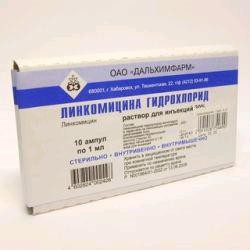 Линкомицина гидрохлорид, р-р для в/в и в/м введ. 300 мг/мл 1 мл №10 ампулы